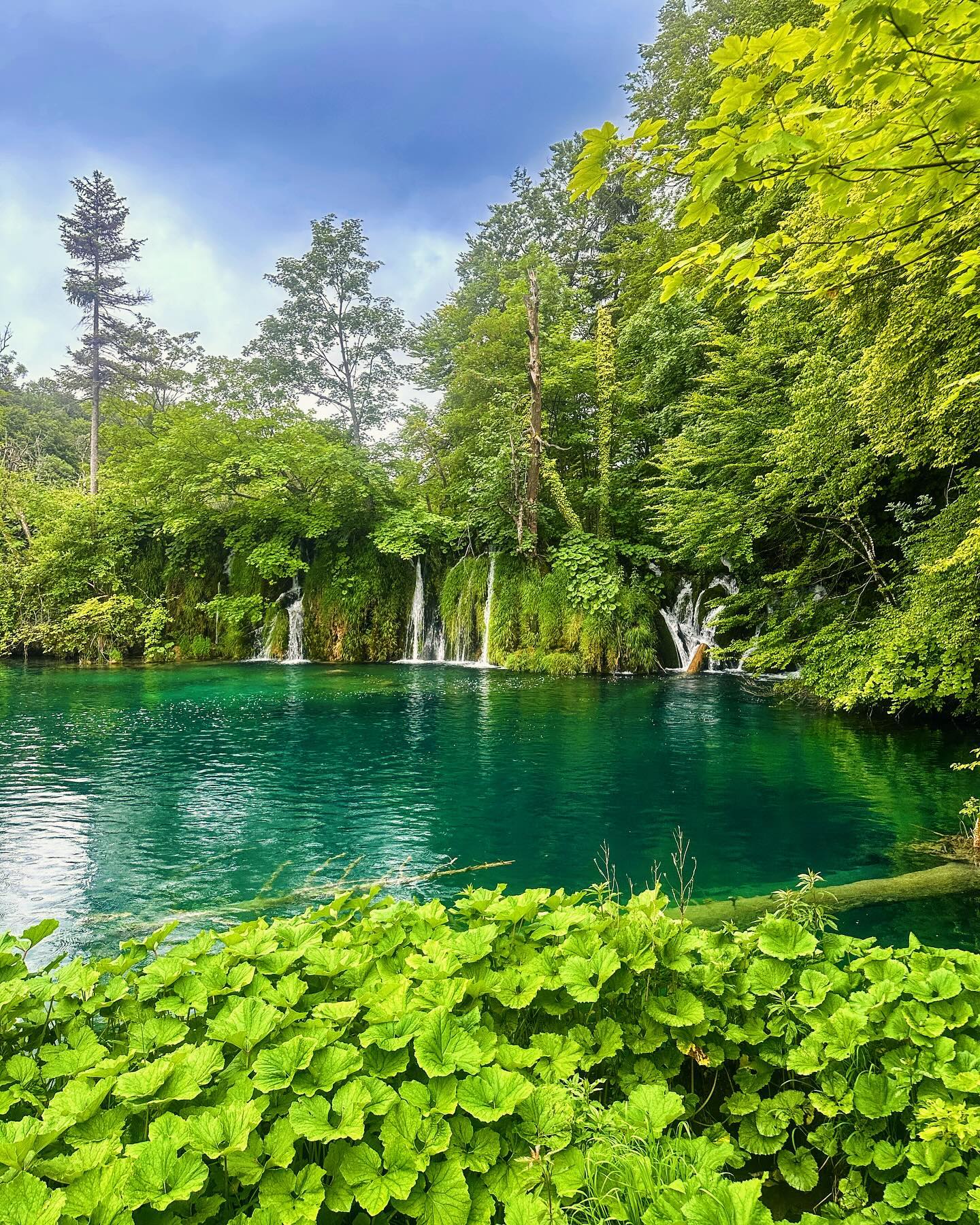 Plitvice Lakes, Worth the Fuss